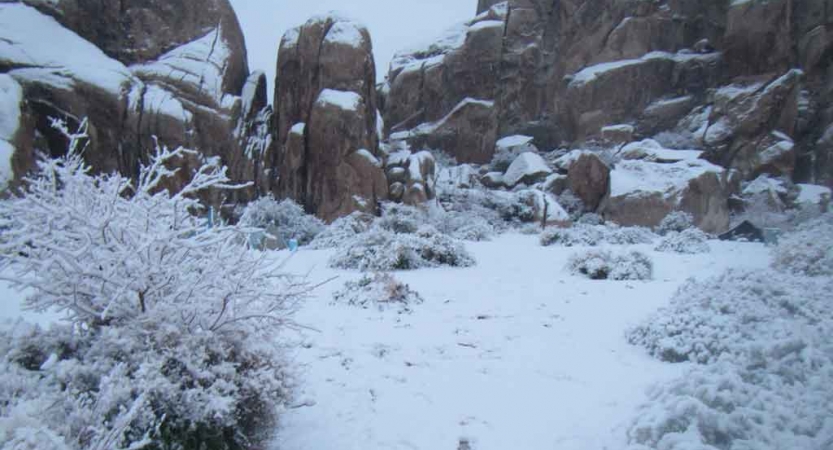 Snow covers shrubs, rocks and boulders in Joshua Tree National Park.